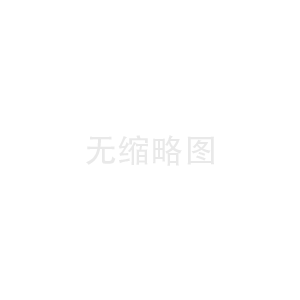公司实力